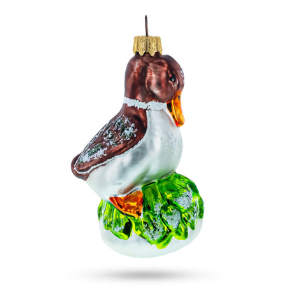 Brown Headed Duck on Grass Glass Christmas Ornament