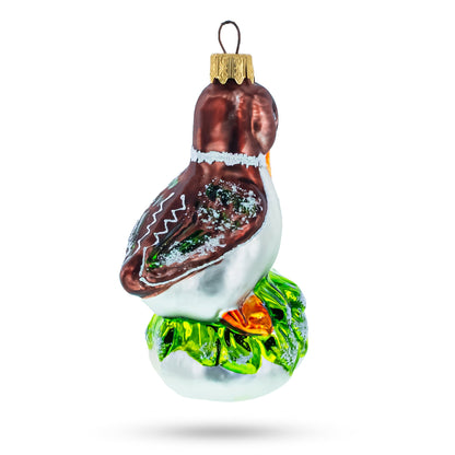 Brown Headed Duck on Grass Glass Christmas Ornament