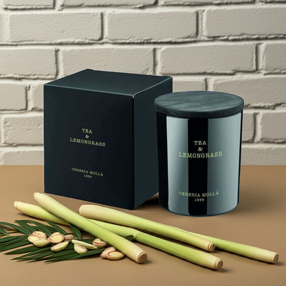 Cereria Molla - Tea & Lemongrass Candle - 8 oz / 230 g - Coastous