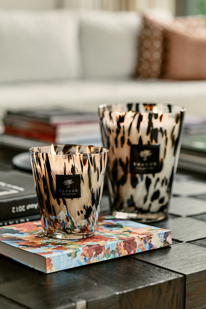 Elegant Baobab Collection candles in unique glass holders, displayed on a coffee table with colorful books.