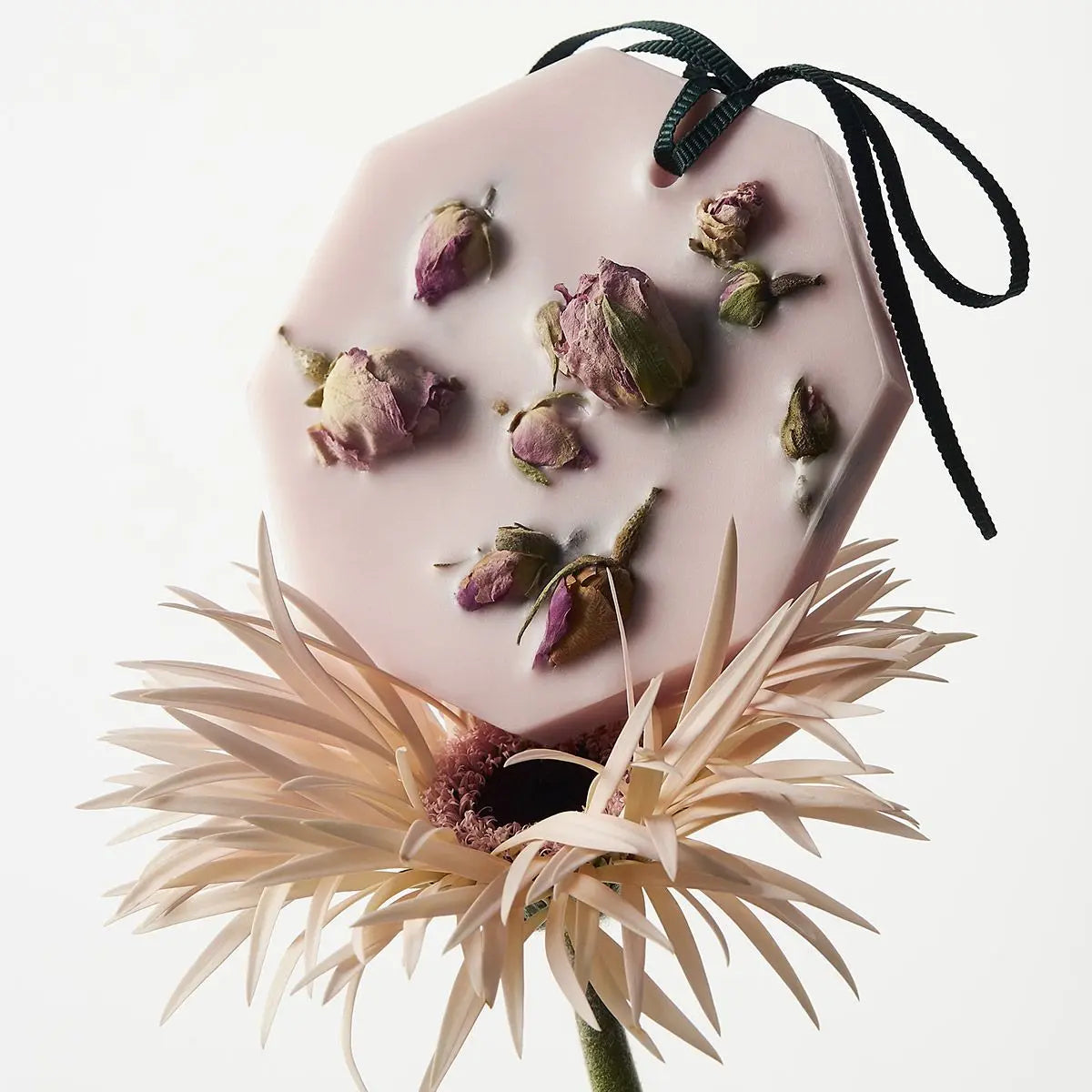 Carrière Frères - La Rose aime la Menthe Botanical palets   