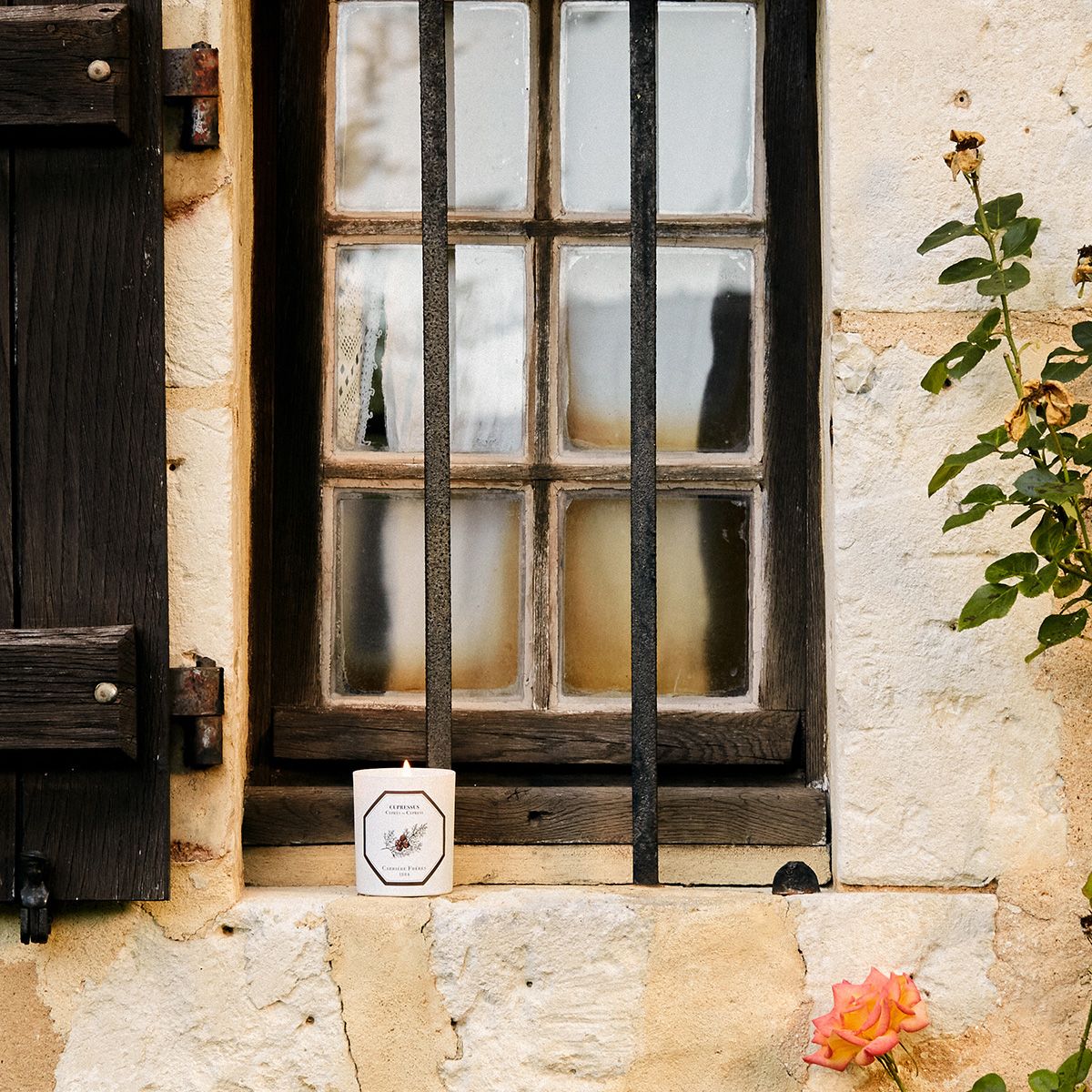 Carrière Frères - Cupressus - Cypress Candle 6.5 oz Carrière Frères