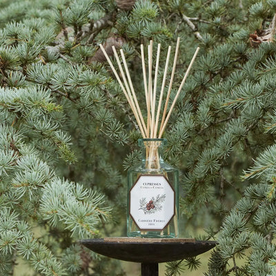Carrière Frères - Cypress Diffuser   