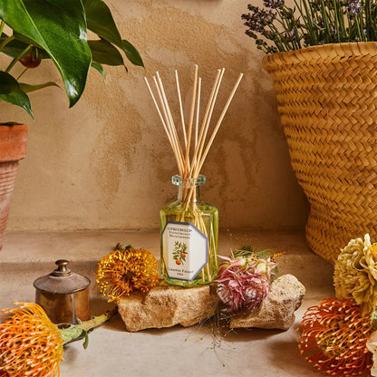 Orange blossom Diffuser   Coastous