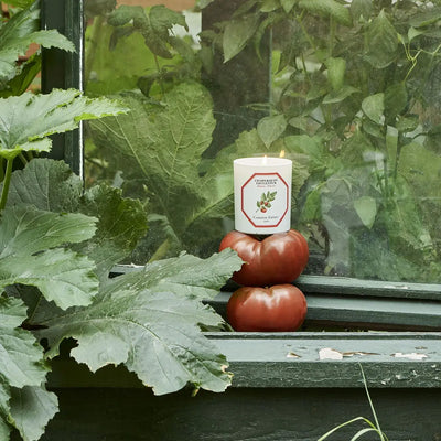 Carrière Frères - Lycopersicon Esculentum - Tomato Candle 6.5 oz   