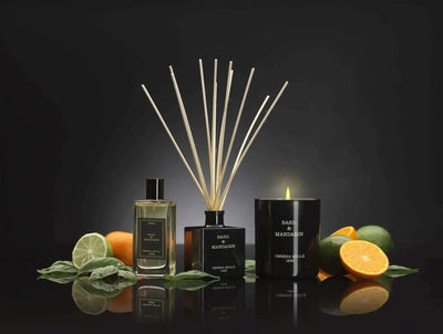 Cereria Molla - Basil & Mandarin Candle - 8 oz / 230 g   