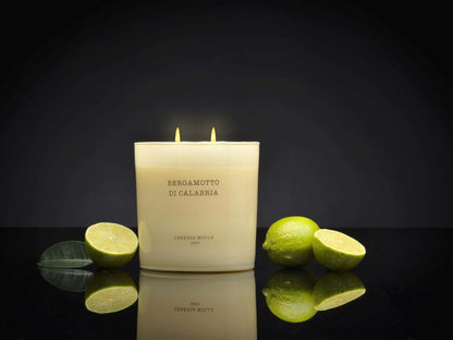 Cereria Molla - Bergamotto di Calabria 3 wick XL Candle - 21 oz / 600 g - Coastous