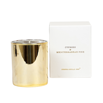 Cereria Molla - Cypress & Mediterranean Pine Holiday Candle - Coastous