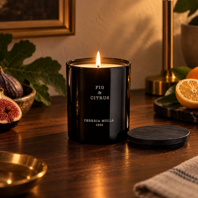 Cereria Molla Fig & Citrus 230 g candle in a sophisticated evening interior