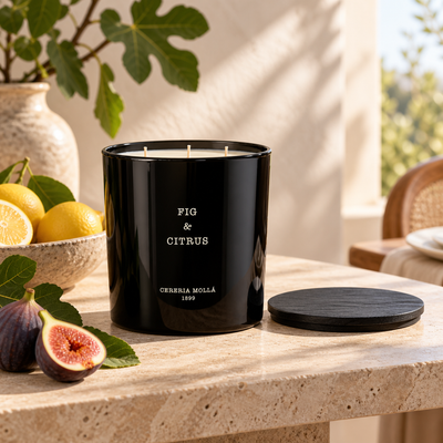 Cereria Molla Fig & Citrus 600 g XL candle in a sunlit Mediterranean dining room