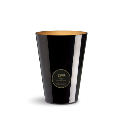 Cereria Molla - Ginger & Orange Blossom Black & Gold Premium Candle -  7.7 lb / 3.5 kg -  Coastous