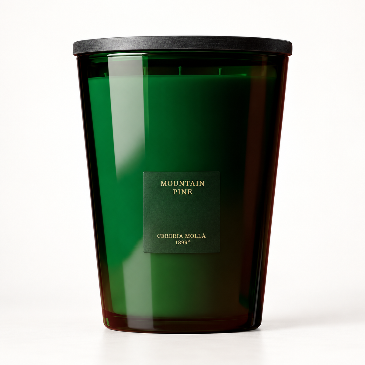 Cereria Molla Mountain Pine 7.7 lb four-wick XXL candle clear studio image