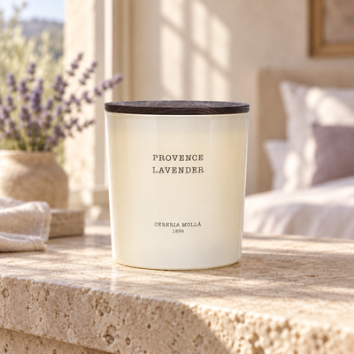 Cereria Molla Provence Lavender XL candle in a sunlit luxury interior