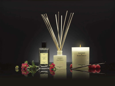 Cereria Molla - Raspberry and Black Vanilla Ivory Premium Candle - 8 oz / 230 g   