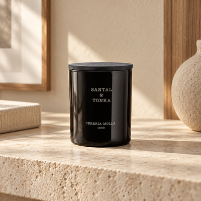 Cereria Molla Santal & Tonka 230 g candle in a sunlit luxury interior