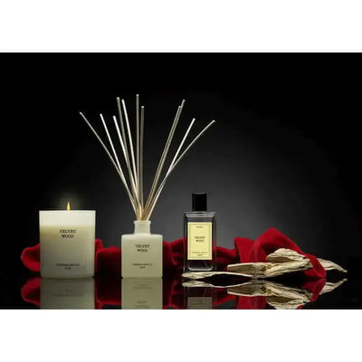 Cereria Molla - Velvet Wood Ivory Premium Candle - 8 oz / 230 g   