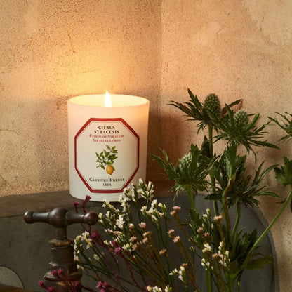 Carrière Frères - Citrus Syracusis - Siracusa Lemon Candle 6.5 oz Carrière Frères