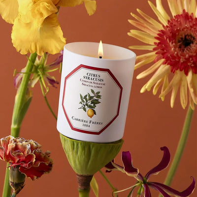 Carrière Frères - Citrus Syracusis - Siracusa Lemon Candle 6.5 oz   
