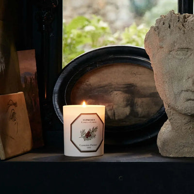 Carrière Frères - Cupressus - Cypress Candle 6.5 oz   