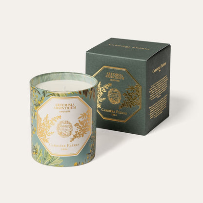 Carrière Frères - Artemisia Absinthium - Absinthe Candle 6.5 oz Carrière Frères