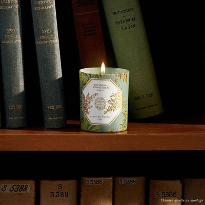 Carrière Frères - Artemisia Absinthium - Absinthe Candle 6.5 oz   