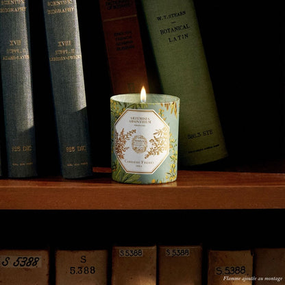 Carrière Frères - Artemisia Absinthium - Absinthe Candle 6.5 oz Carrière Frères