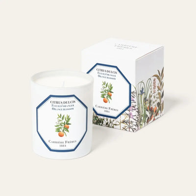 Carrière Frères - Citrus Dulcis - Orange Blossom Candle 6.5 oz   