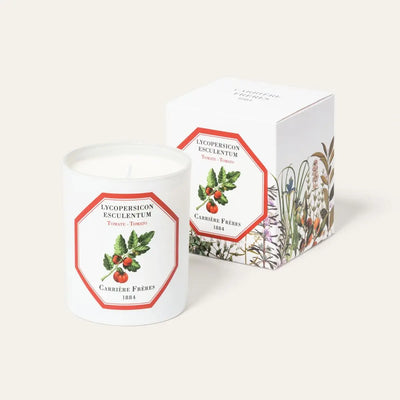 Carrière Frères - Lycopersicon Esculentum - Tomato Candle 6.5 oz   