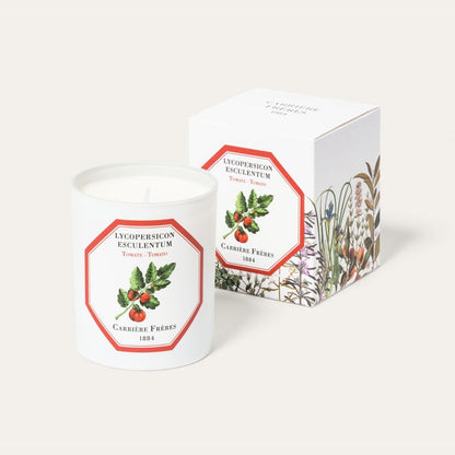 Carrière Frères - Lycopersicon Esculentum - Tomato Candle 6.5 oz Carrière Frères
