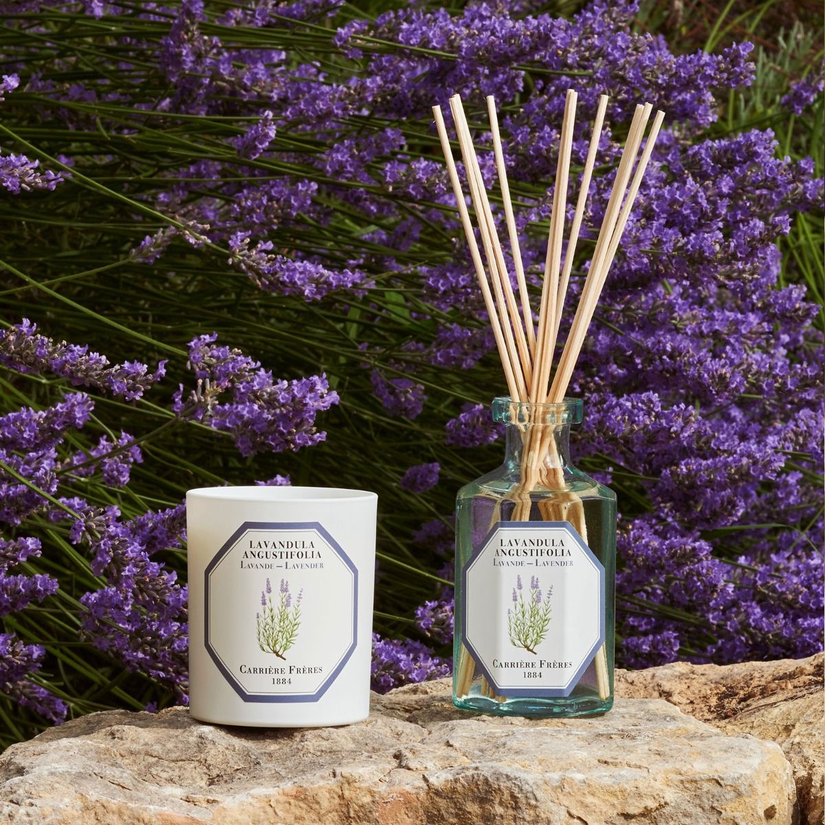 Carrière Frères - Lavender Diffuser Carrière Frères