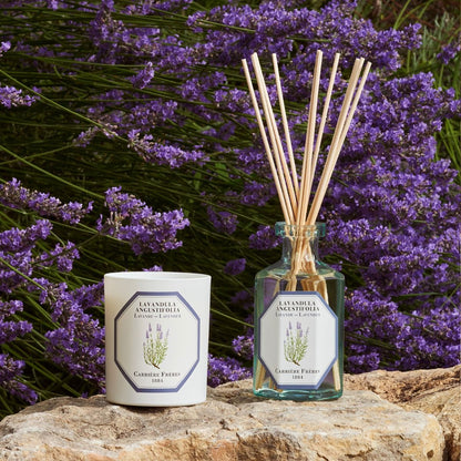 Carrière Frères - Lavandula Angustifolia - Lavender Candle Carrière Frères