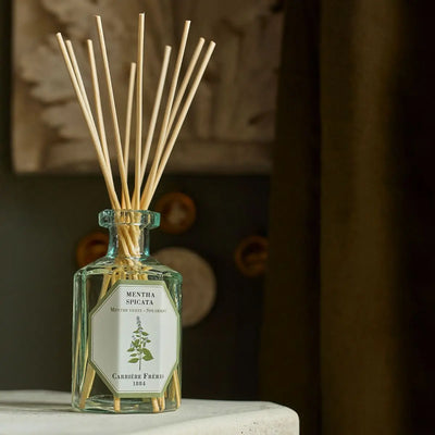 Carrière Frères - Spearmint Diffuser