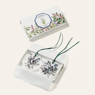 Carrière Frères - Lavender Botanical Palets   