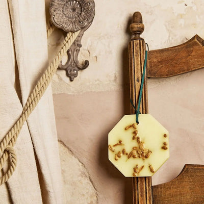Carrière Frères - Citrus Dulcis - Orange Blossom Botanical Palets   