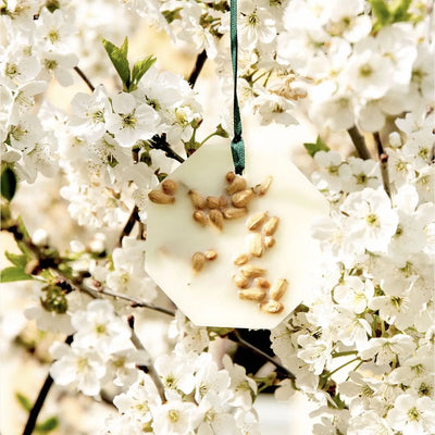 Carrière Frères - Citrus Dulcis - Orange Blossom Botanical Palets   