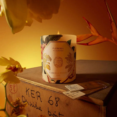 Carrière Frères - Frangipani Candle 6.5 oz   