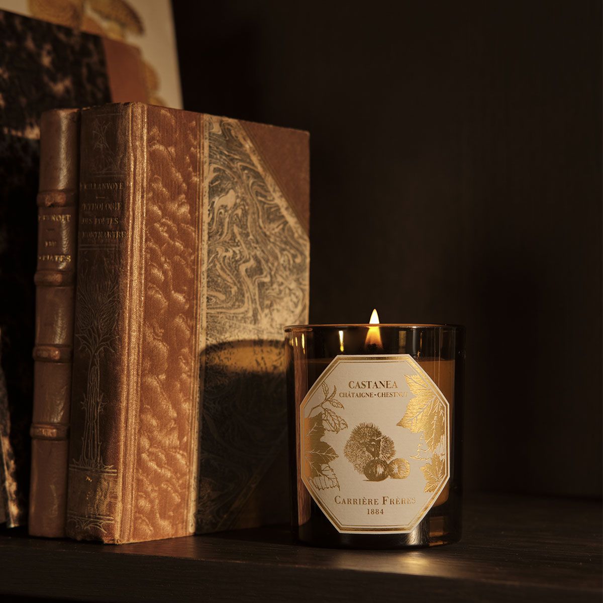 Chestnut Candle 6.5 oz Carrière Frères