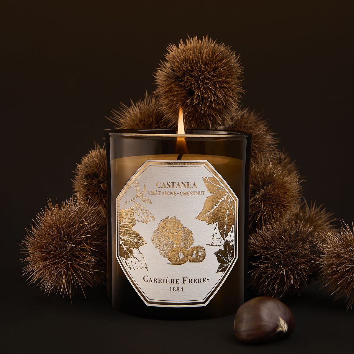 Chestnut Candle 6.5 oz Carrière Frères