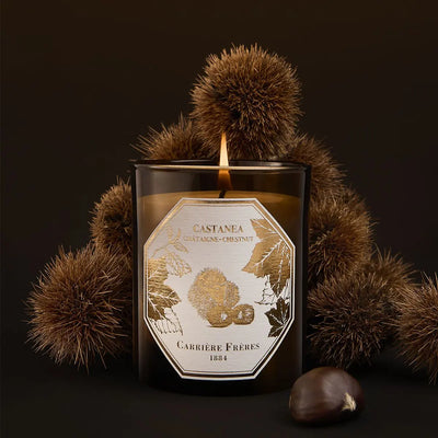 Carrière Frères - Chestnut Candle 6.5 oz   