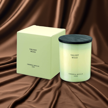 Cereria Molla - Velvet Wood Ivory Premium Candle - 8 oz / 230 g - Coastous