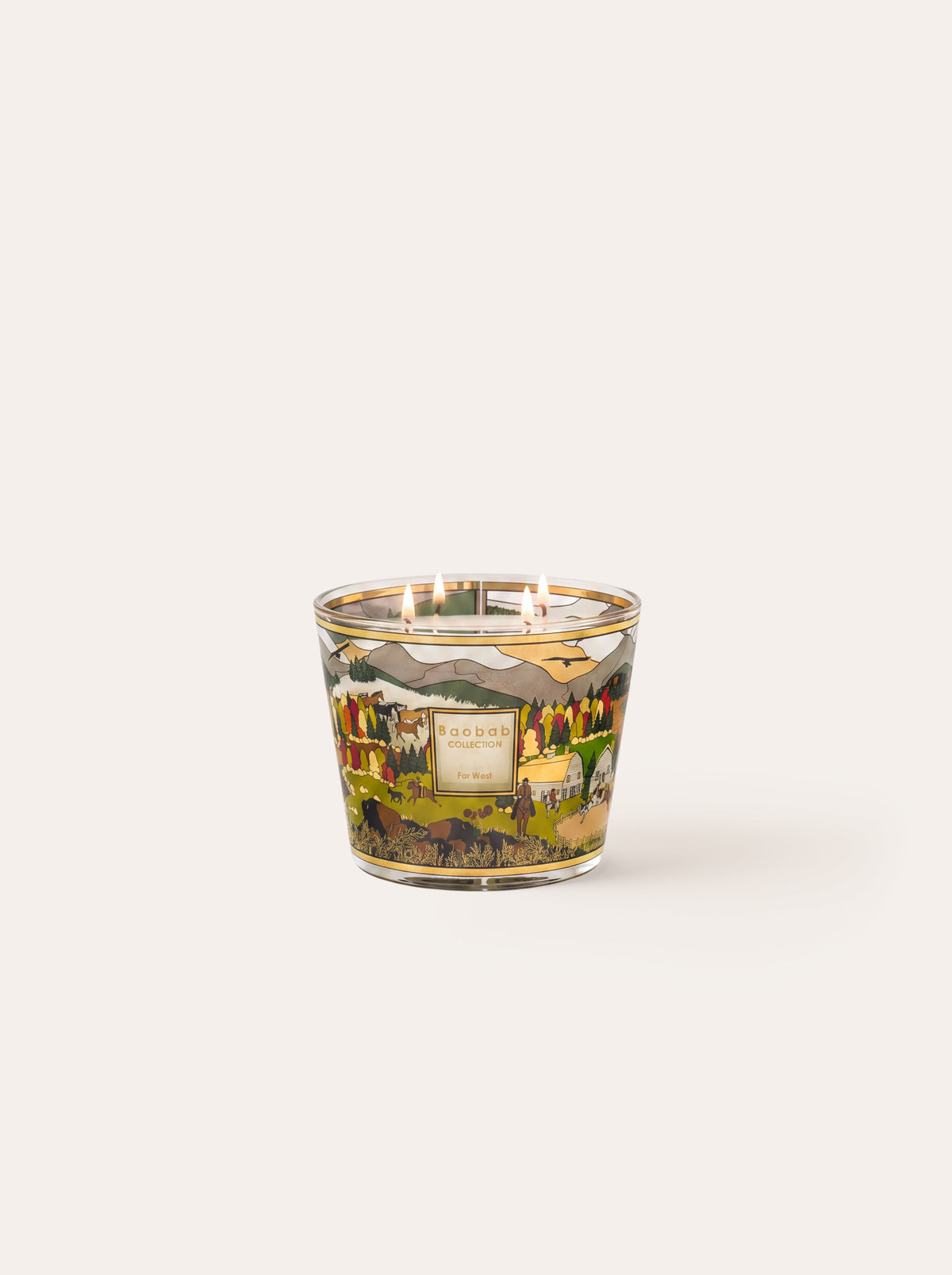 Baobab Collection Far West scented candle image 5