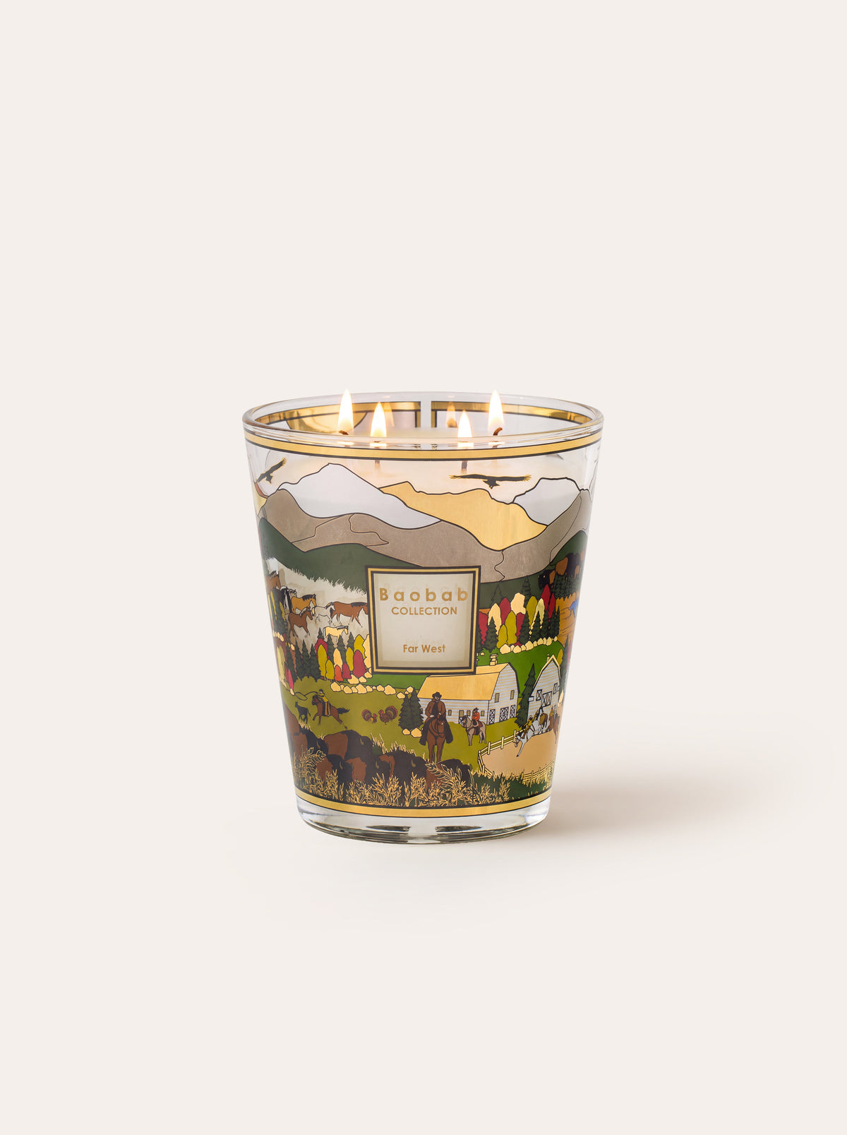 Baobab Collection Far West scented candle image 6