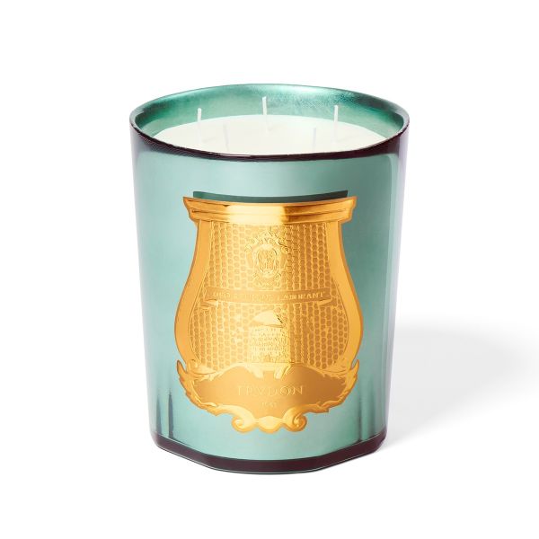 Trudon - Fir Candle - Christmas Tree