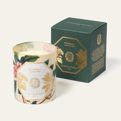 Carrière Frères - Frangipani Candle 6.5 oz   