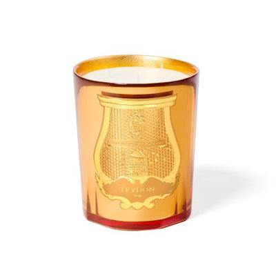 Trudon - Galerie des Flammes Candle - Woody Smoky
