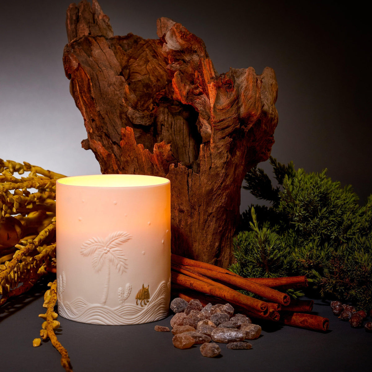 Haas Mojave Palm Candle by L'Objet