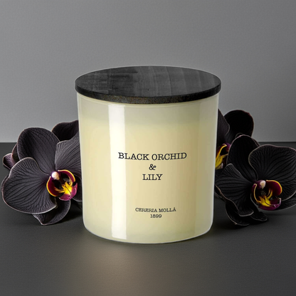 Cereria Molla - Black Orchid & Lily Ivory 3 wick XL Candle - 21 oz / 600 g - Coastous