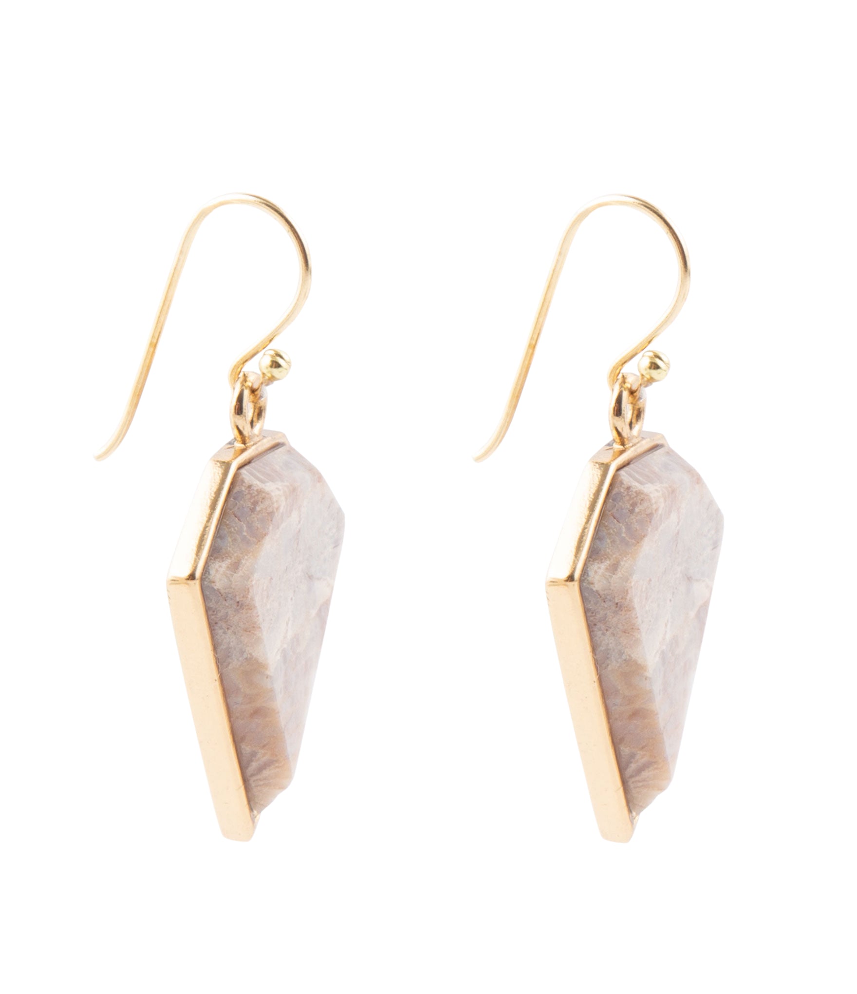 Lafayette Fossilized Coral Earrings Barse Jewelry