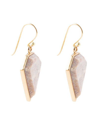 Lafayette Fossilized Coral Earrings Barse Jewelry