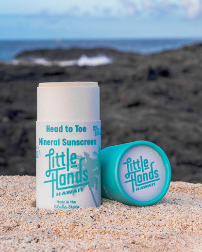 Head To Toe Stick Little Hands Hawaii